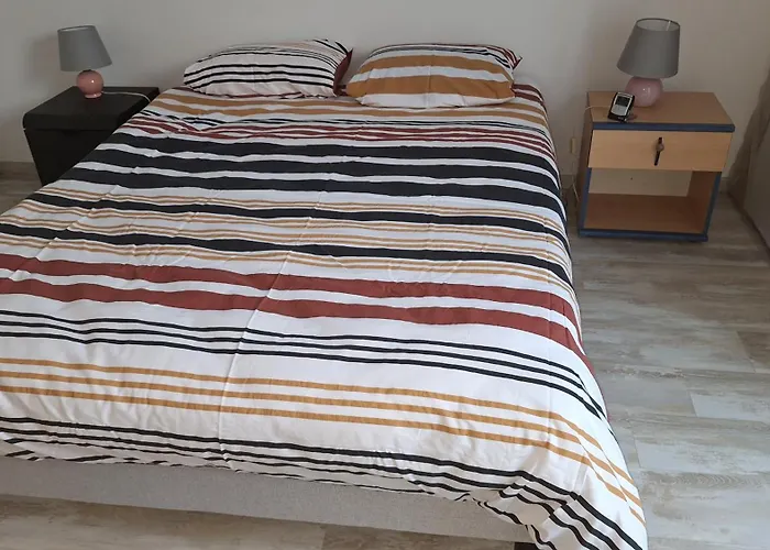 Agreable Duplex Avec Jardin Et Terrasse * La Teste-de-Buch