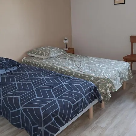 Agreable Duplex Avec Jardin Et Terrasse La Teste-de-Buch
