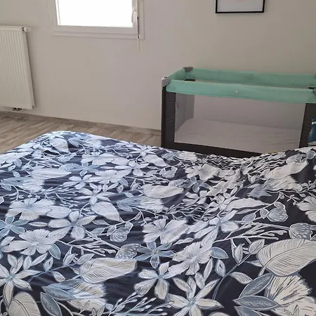 Agreable Duplex Avec Jardin Et Terrasse * La Teste-de-Buch